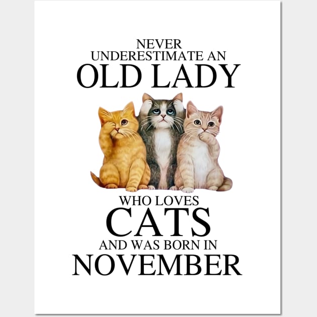 Never Underestimate An Old Lady Who Loves Cats November Wall Art by louismcfarland